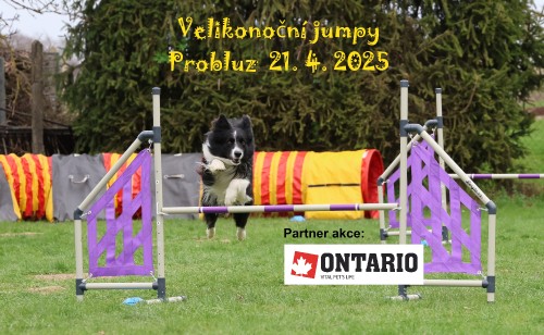 letacek-velikonocni-jumpy-2025.jpg